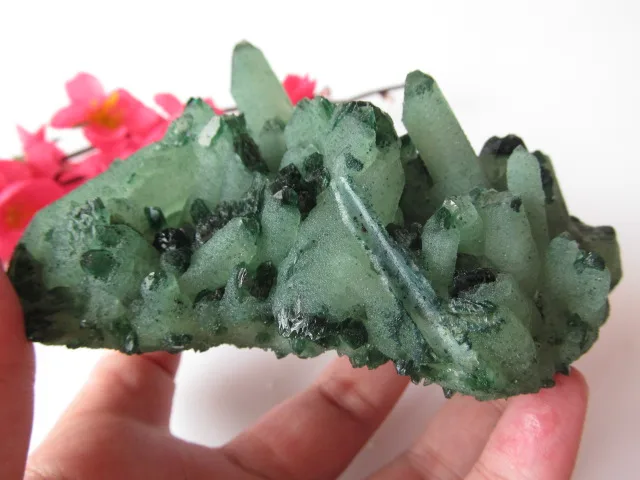 377g Unikaalne Looduslik Roheline Kristall Klaster-Skeleti Kvarts Punkti Võlukepp mineral crystal Healing druse vug Isend looduslikud kivid